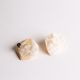 Sculpture studs in Ivory - 