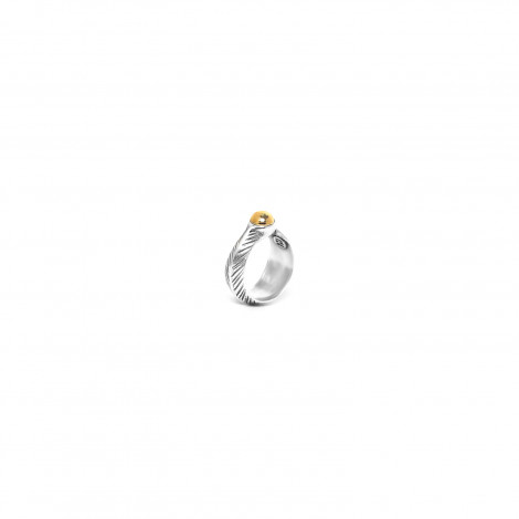 small ring "Swan"