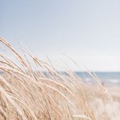 L'été fait peu à peu son retour... tout comme notre envie de nous évader sur une plage de sable blanc ! 🐚🏖#olivolga #olivolgabijoux #olivolgajewellery #plage #playa #beach #summercoming #summercomeback